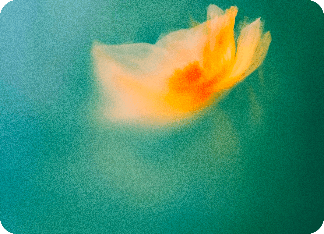 Medicínska pedikúra